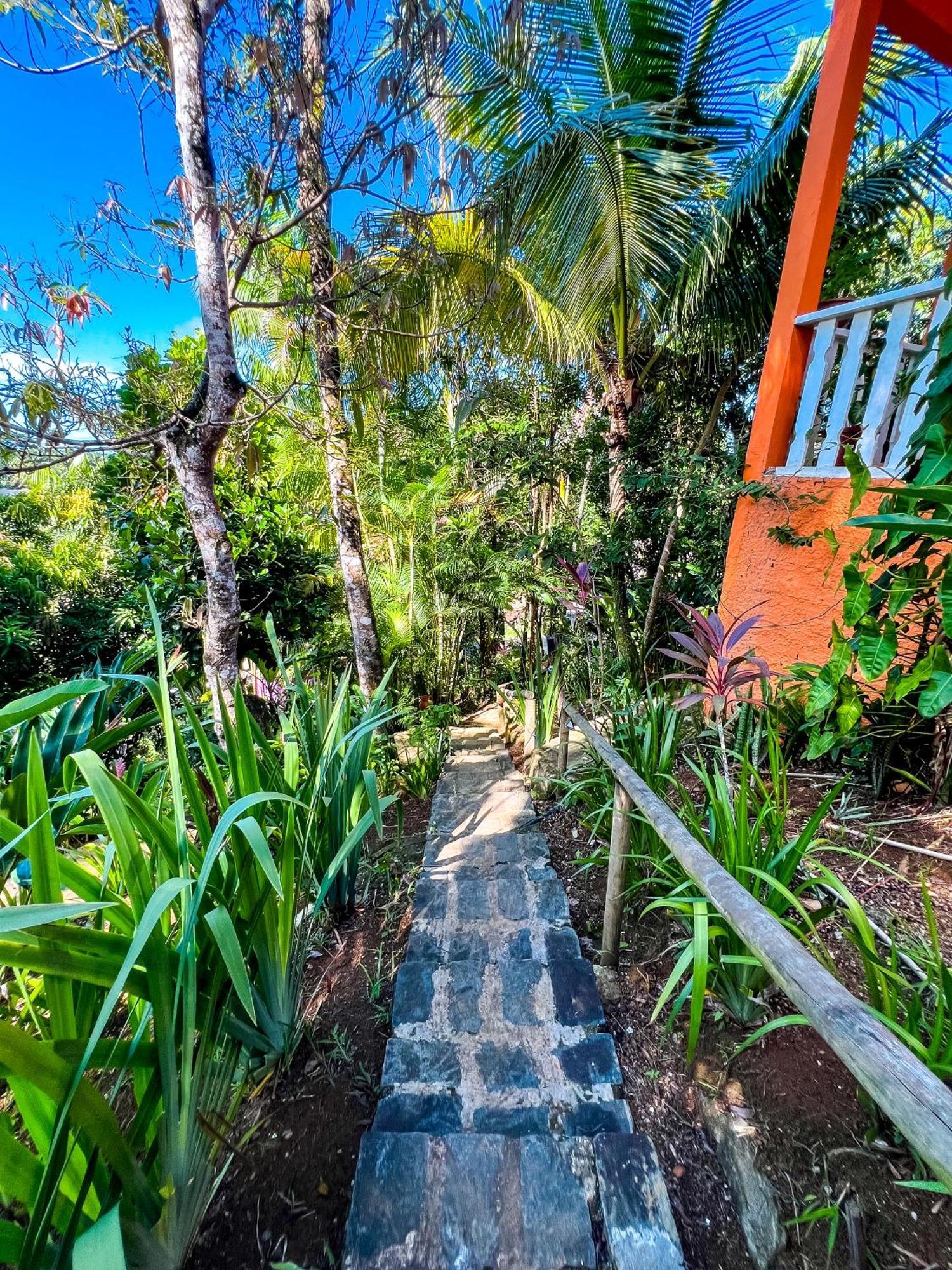 Hostel Zen - Casa Na Floresta Itacaré Buitenkant foto